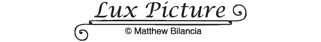 Lux Picture Realtors